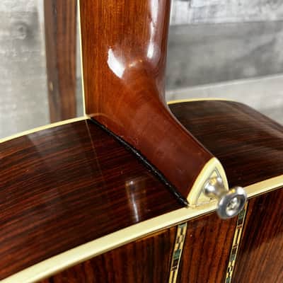Segovia Sessions Series 12-String 1970's W/HSC image 14