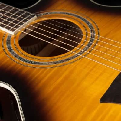 Washburn EA15 Tobacco Burst image 15