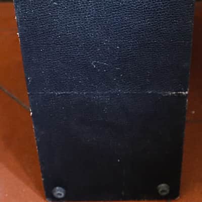 Newton Limec R200 electric and acoustic guitar combo amp 2x8 vintage 70s image 4