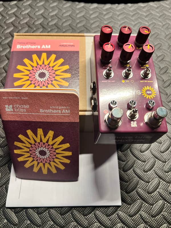 Chase Bliss Audio Brothers AM