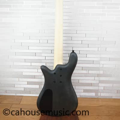 Immagine Spector Euro 5 LX - Trans Black Stain Matte - 17