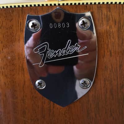 1964 Fender King image 9