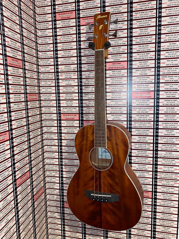 Ibanez PNB14E-OPN 2018 Natural image 1
