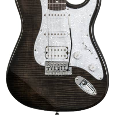 Washburn Sonamaster SDFTB Deluxe Transparent Black image 1