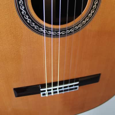Brand New Cordoba C12 Cedar Top Classical Guitar - with Hard Case image 5
