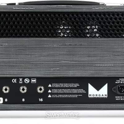 Morgan Amps MVP 66 50-watt Tube Head - Twilight (MVP66HTwld1) image 7