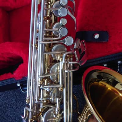 Borgani Vintage Alto Saxophone 1980 - Gold Lacquer with Nickel Silver Keys image 20