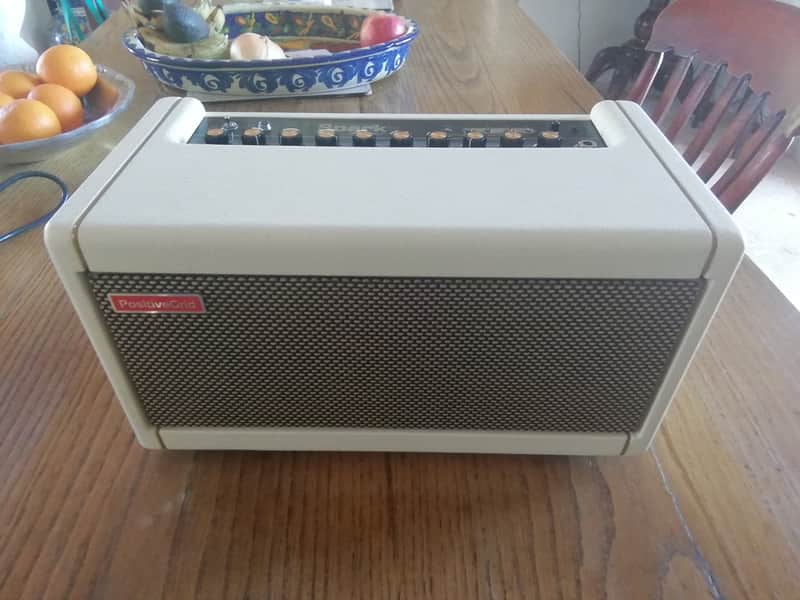 Positive Grid Spark 40 40-Watt 2x4" Modeling Guitar Combo 2021 - Pearl White image 1