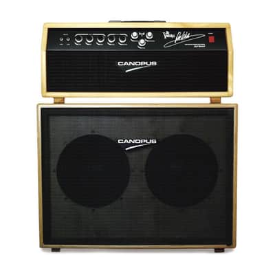 USED by Don Wilson himself. Signature Amp image 1