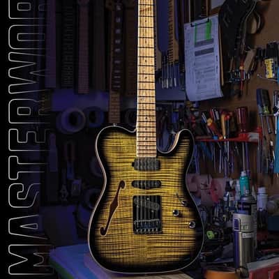 Schecter USA CUSTOM SHOP MASTERWORKS PT Nashville S/H Olive Green Sunburst w/ Tolex Case (2022) image 21