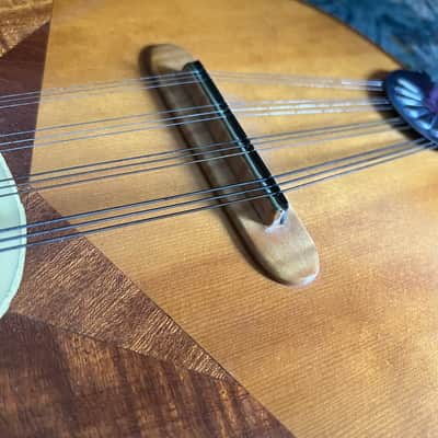 Mandriola Tricordia 12 String Mandolin Bird's Eye image 7