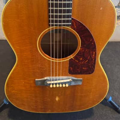 Epiphone FT-45 Cortez 1964 - Natural image 4