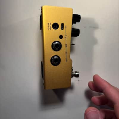 Walrus Audio Mako  ACS1 Amp + Cab Simulator 2021 - 2024 - Gold image 2