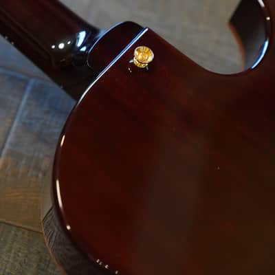 Lefty! 2018 Benedetto Benny Antique Burst Semi-Hollow Electric Guitar + OHSC image 18