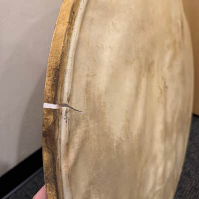 Grouping of Vintage Slingerland Calfskin Heads Pairs of 16", 22", 28" (Rm3) image 13