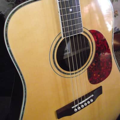 COPLEY CA-50 Acoustic Guitar image 1