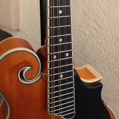 Epiphone MM-50E Professional Mandolin 2010s - Vintage Natural image 8