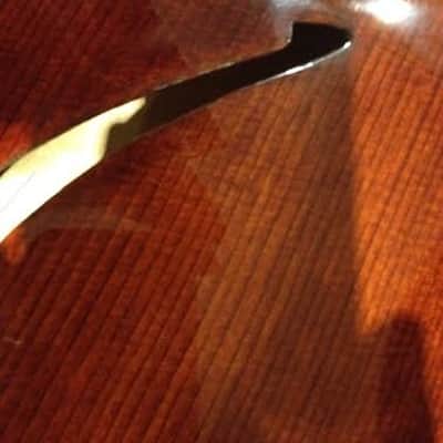 Eastman PG1 Pagelli Signature 17in Archtop Electric Guitar 2012 Sunburst image 10