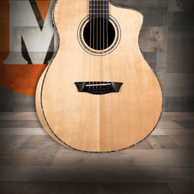 Washburn VITE S9V Bella Tono Studio Cutaway Acoustic Electric Guitar - Gloss Charcoal Burst (BTS9VCECH-D-U) image 1
