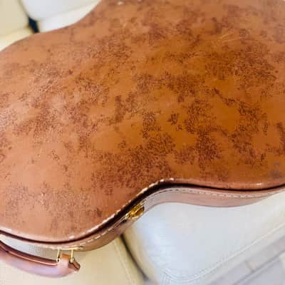 Gibson Lifton Historic ES-335 Case image 4