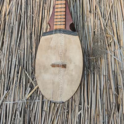 Rubab, robab, rabab Afghan 1960 image 4