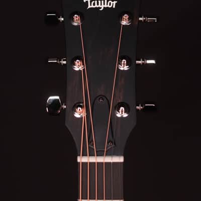 Taylor 414ce Studio Acoustic Electric Guitar, Honey Sunburst Collection image 9