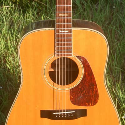 Morris TF-60 D size Guitar Jacaranda Body 1990's - Natural+Hard Case FREE image 4