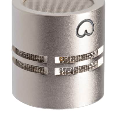 Se Electronics RN17 Cardioid Pair Capsules for RN17 Studio Microphone+Monitors image 14