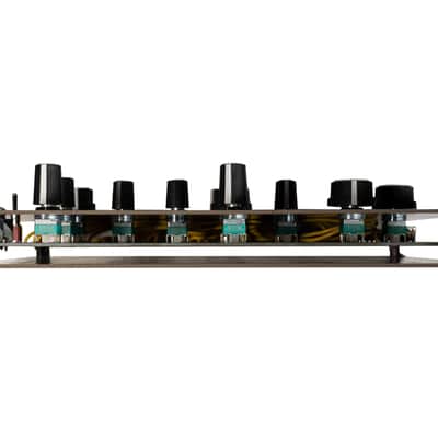 Synthux Audrey II Feedback Synthesizer image 4