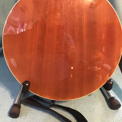R.W. Jameson 5 String Banjo 2020s - Natural gloss image 9
