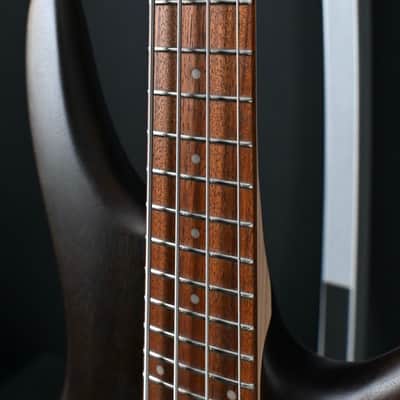 Ibanez Standard Series SR300EB-WNF Walnut Flat #870 image 8