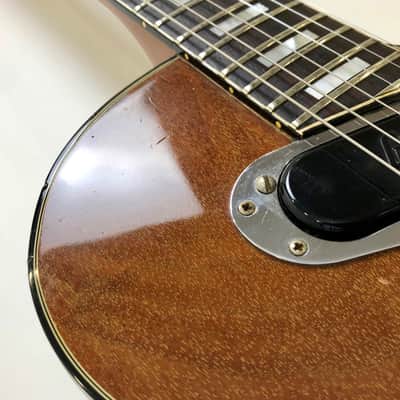 Gibson Les Paul Recording 1973 Walnut Bild 12