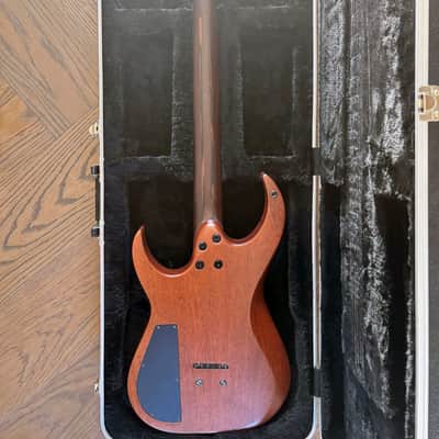 Daemoness Cimmerian “Danse Macabre” Custom 6-String Bog Oak / Mahogany w/ Bare Knuckle Warpig & Hard Case image 2