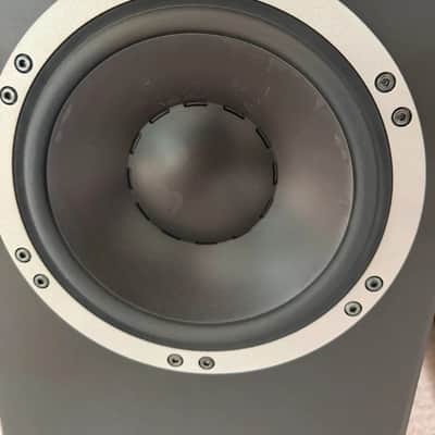 Dynaudio Evidence Master.  Awesome SOTA Flagship model image 11