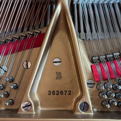 Steinway & Sons B 1959 - Ebony Satin #362672 Bild 5