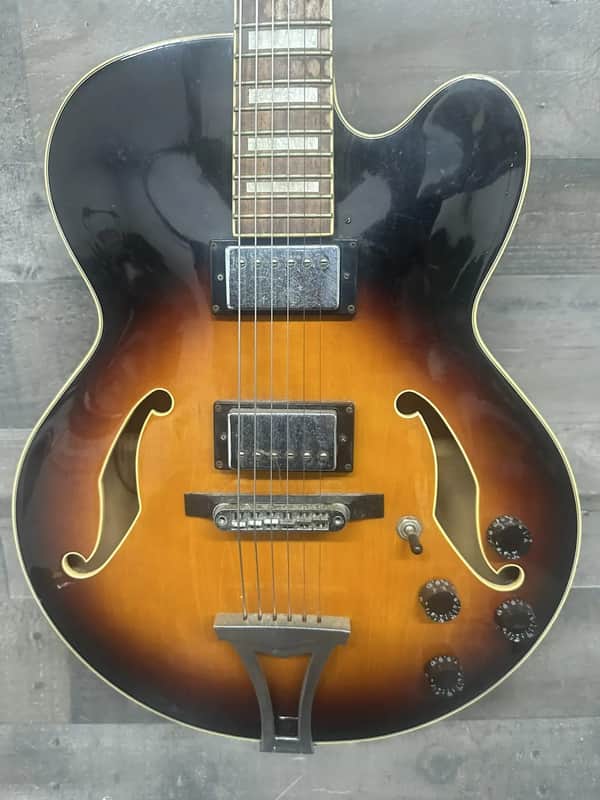 Ibanez Artcore 2007 image 1