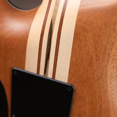 Mayones NAMM Regius 4Ever 6 – Master Grade Myrtlewood Burl with Mayones HISCOX Case image 12