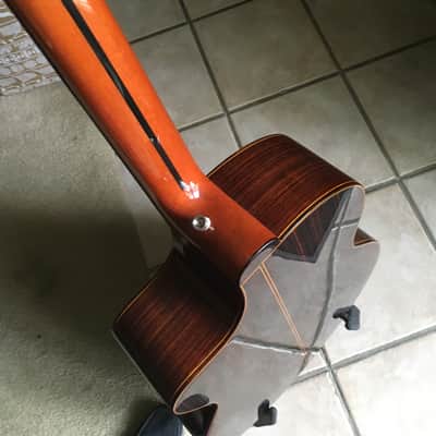 LaBella ABE 100 FC Fretless Acoustic Bass image 6