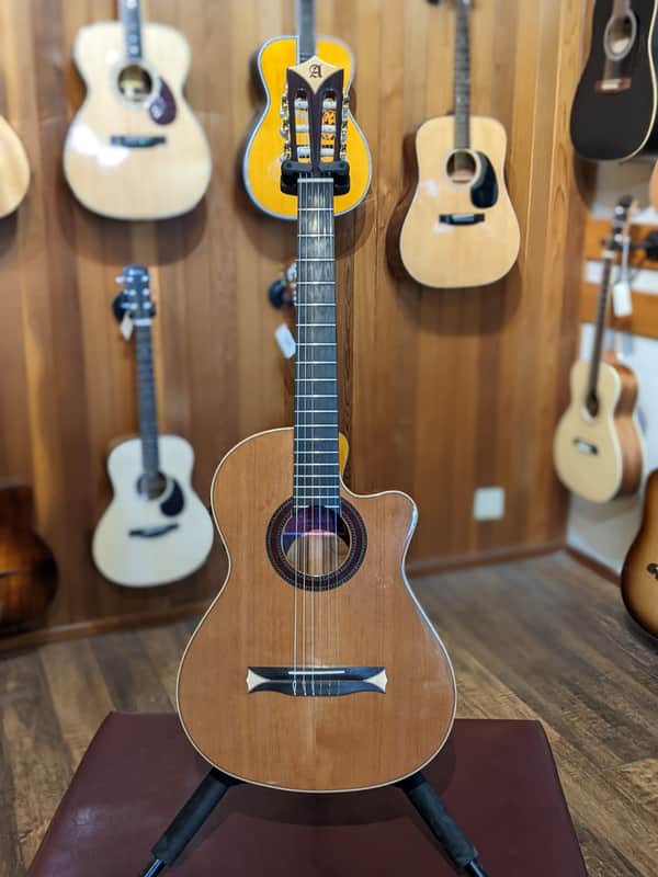 Alhambra CS-2 CW E2 Crossover Classical Guitar w/Case (Used) image 1