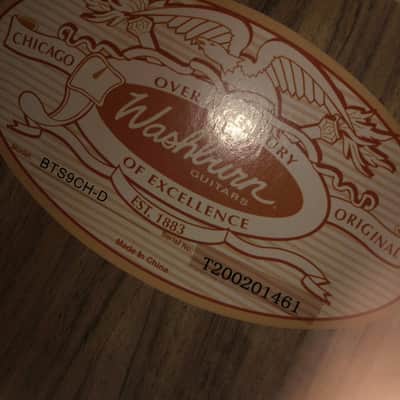 Washburn 6 String Acoustic Guitar, Right (BTS9CH-D) image 5