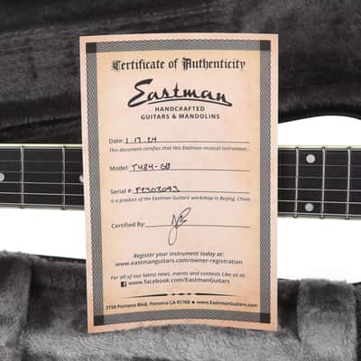Eastman T484 Thinline Truetone Gloss Goldburst image 10