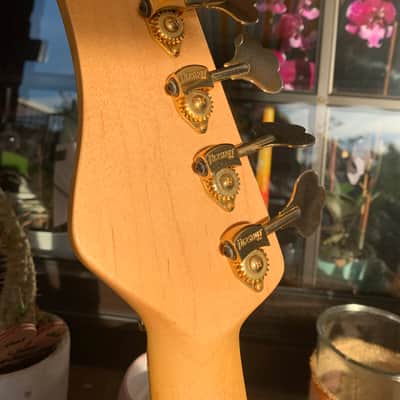 Alleva-Coppolo 1600 Limited Edition Bass 2007 image 16