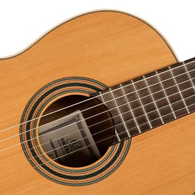 Ortega R20GWN Traditional Series Solid Cedar Top Mahogany Neck Nylon 6-String Classical Acoustic Guitar w/Gig Bag image 11