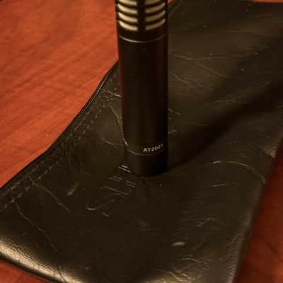 Audio-Technica AT2021 Small Diaphragm Cardioid Condenser Microphone image 1
