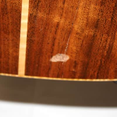 W.T. Johnson Dark Burst Hand Built USA Acoustic Guitar LUTHIER SPECIAL W Gig Bag image 13