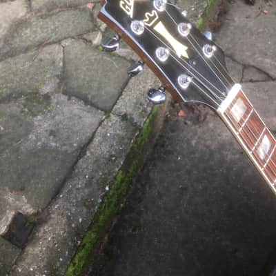 Guild Bluesbird image 16