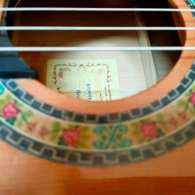 Guitarra Francisco Molina Flamenca FMF43 Ciprés tapa de cedro 2021 image 3