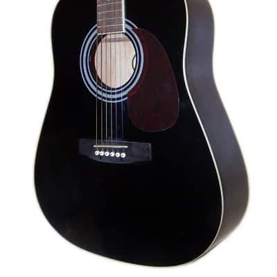 RARE Tyler Mountain TM10-BK Late 90's-2000 Acoustic Guitar VG Condition w/Gigbag image 1