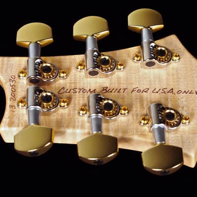 2013 Paul Reed Smith PRS Hollowbody II Artist Package w Piezo Brazilian Livingston Lemondrop image 10