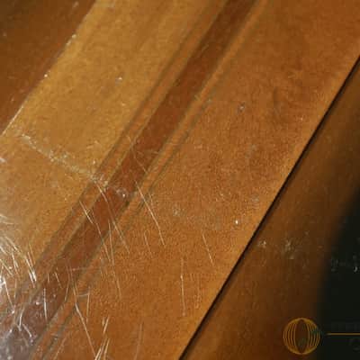Gibson Firebird V 2006 image 8